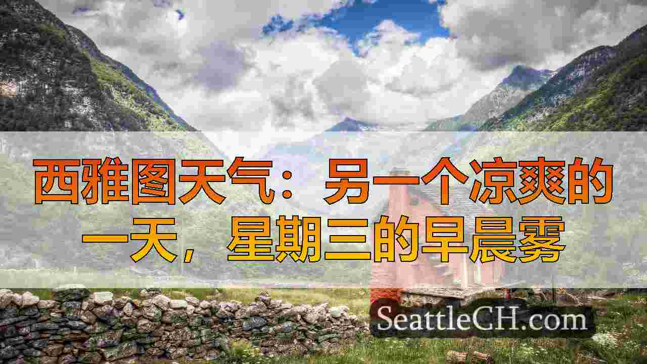 西雅图新闻 SeattleCH