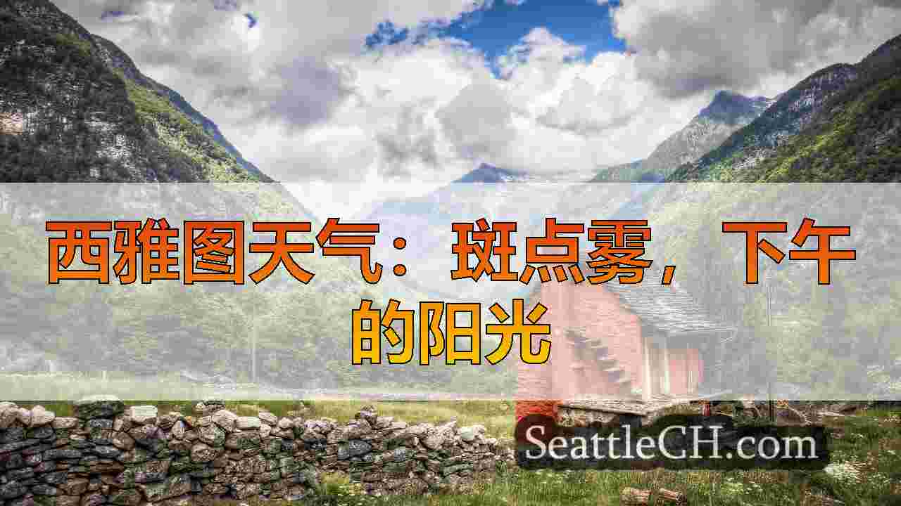 西雅图新闻 SeattleCH