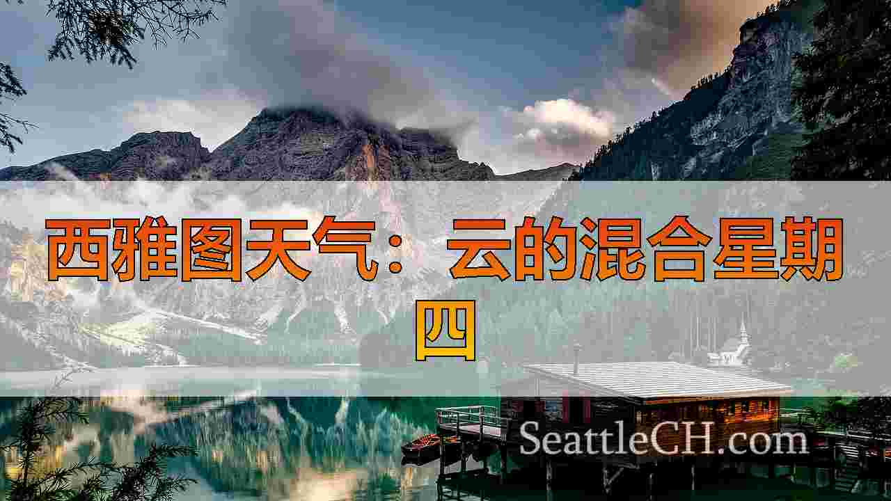 西雅图新闻 SeattleCH
