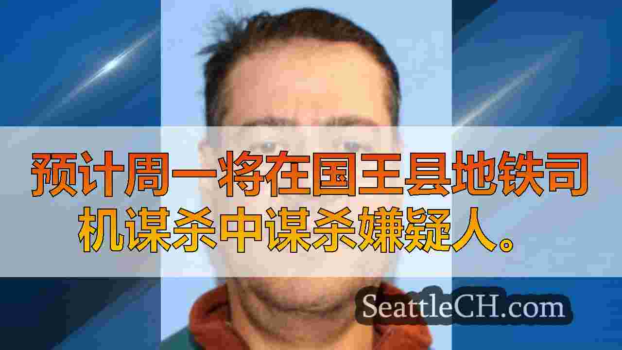 怀疑刺伤谋杀案的地铁司机预计在法庭上