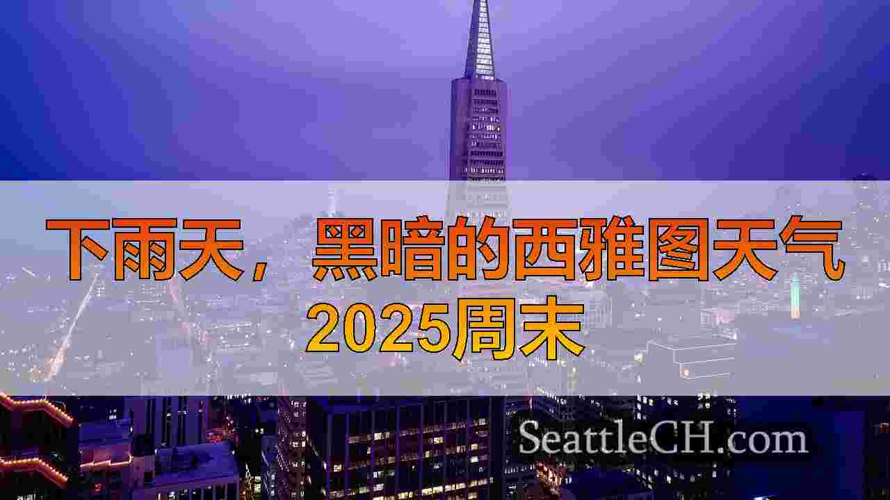 西雅图新闻 SeattleCH