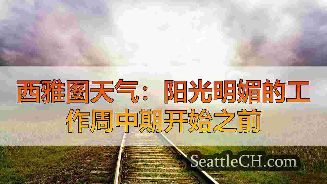 西雅图新闻 SeattleCH