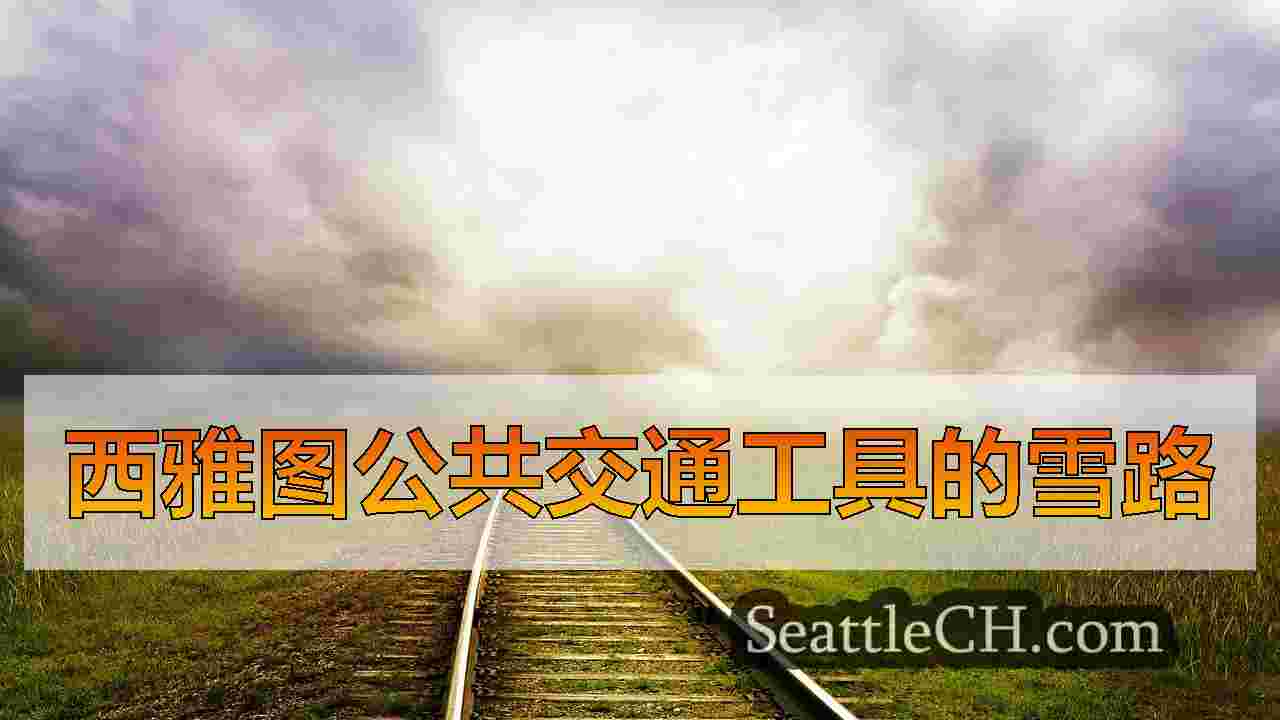 西雅图公共交通工具的雪路