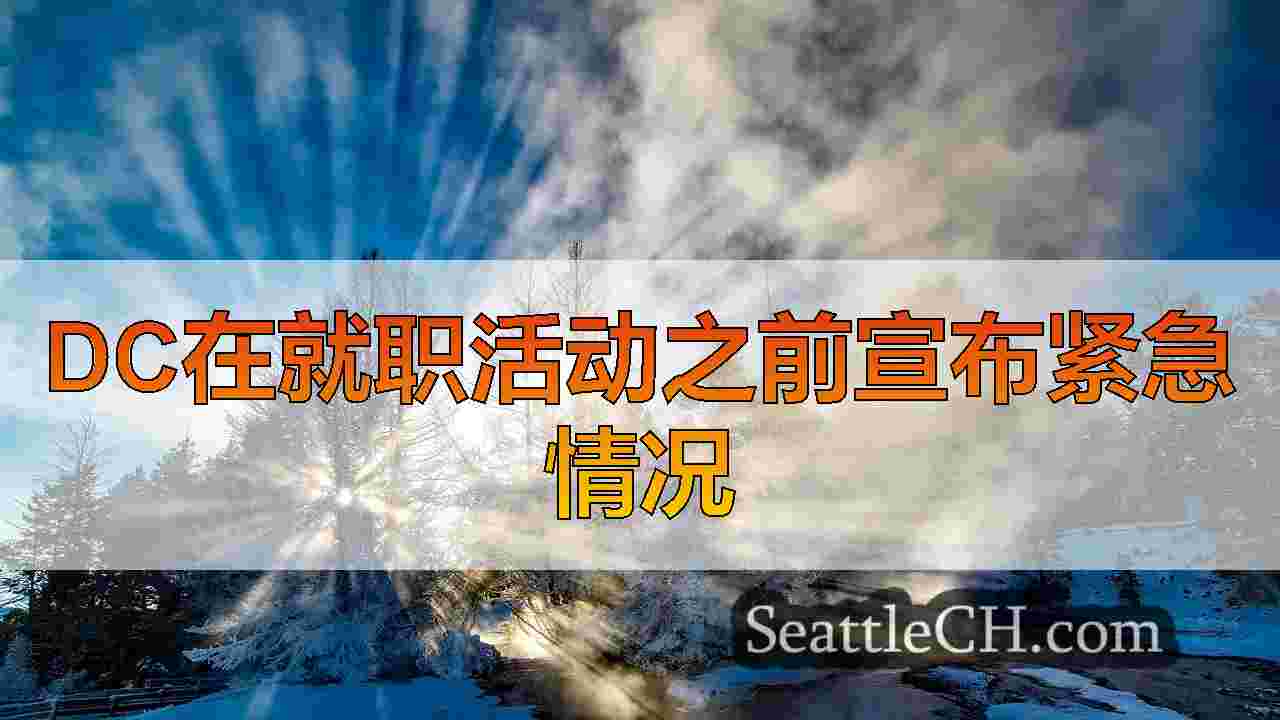 西雅图新闻 SeattleCH