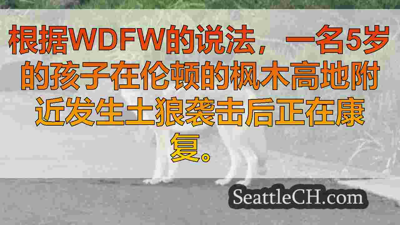 西雅图新闻 SeattleCH