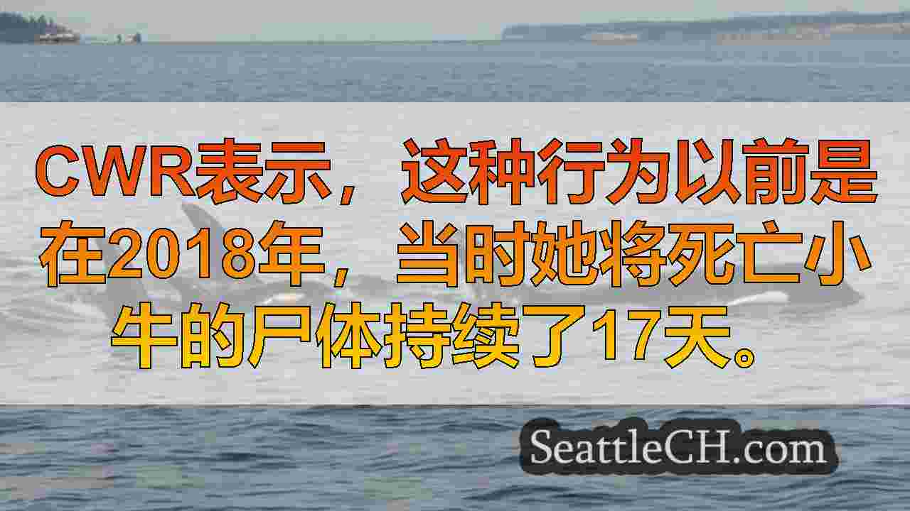 西雅图新闻 SeattleCH