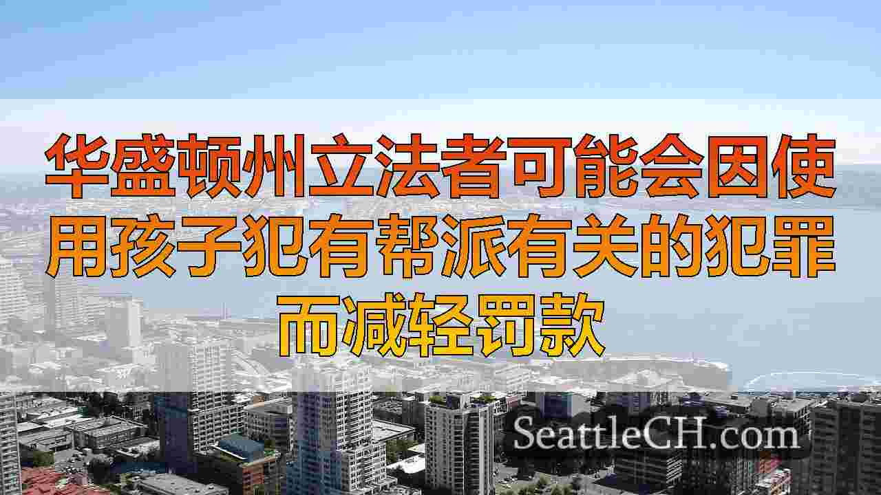 西雅图新闻 SeattleCH