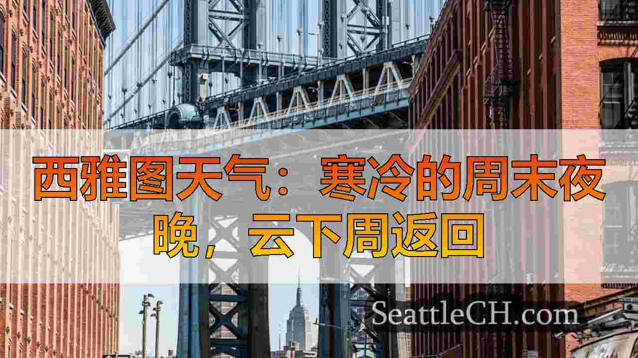 西雅图新闻 SeattleCH