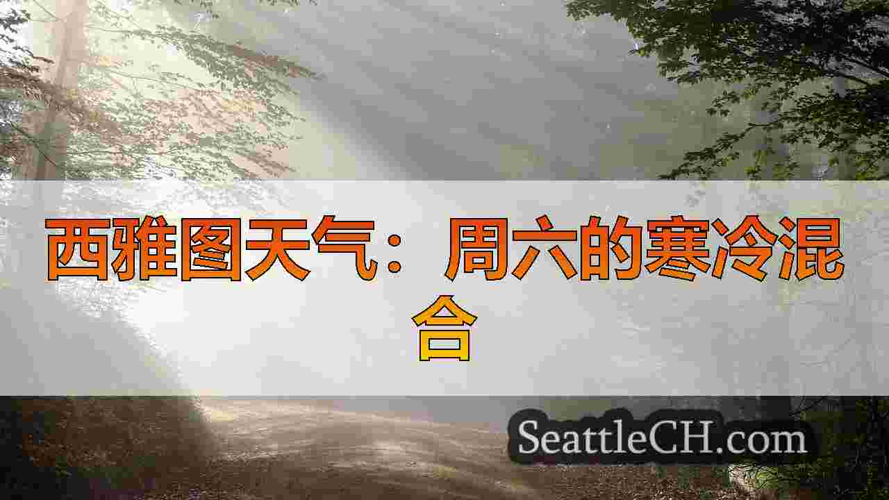 西雅图新闻 SeattleCH