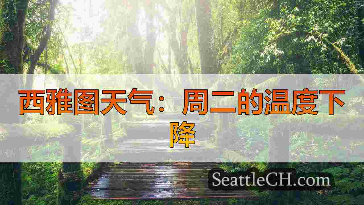 西雅图新闻 SeattleCH