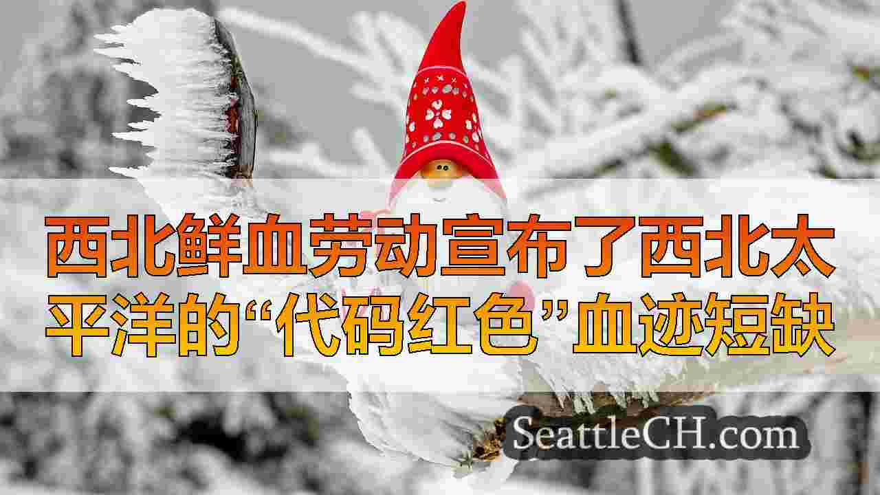 西雅图新闻 SeattleCH