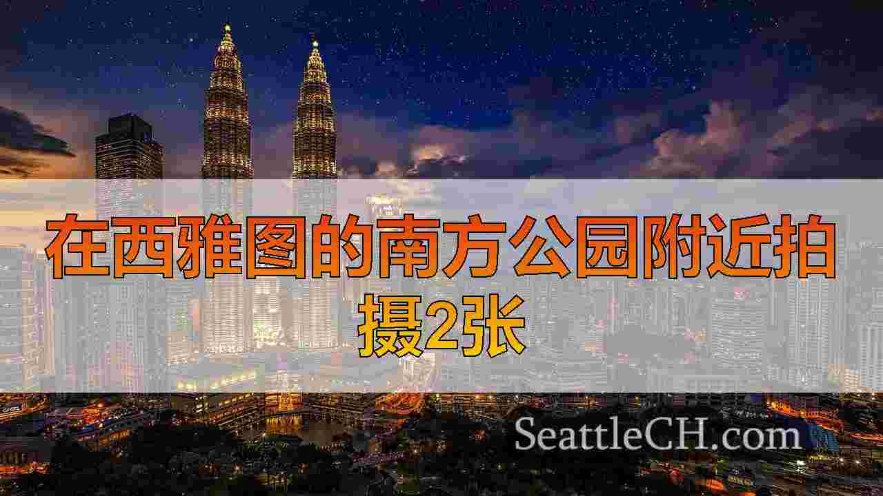 西雅图新闻 SeattleCH