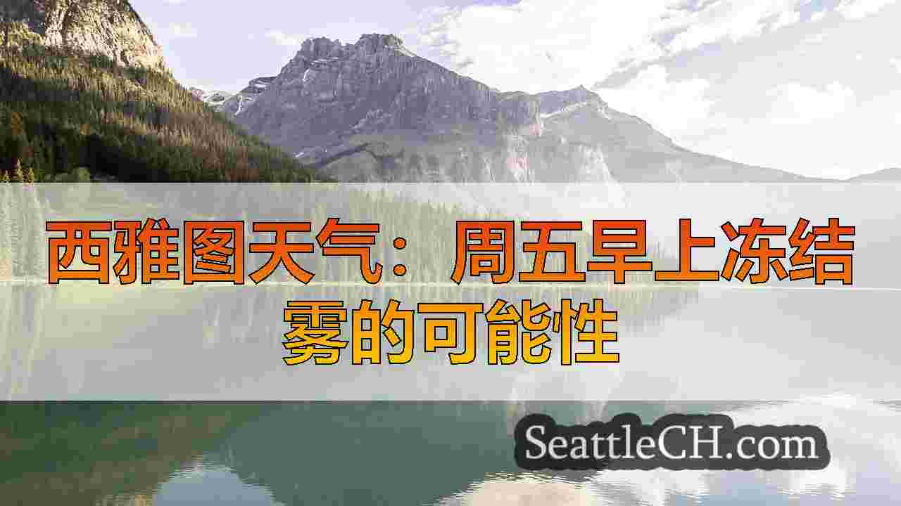 西雅图新闻 SeattleCH