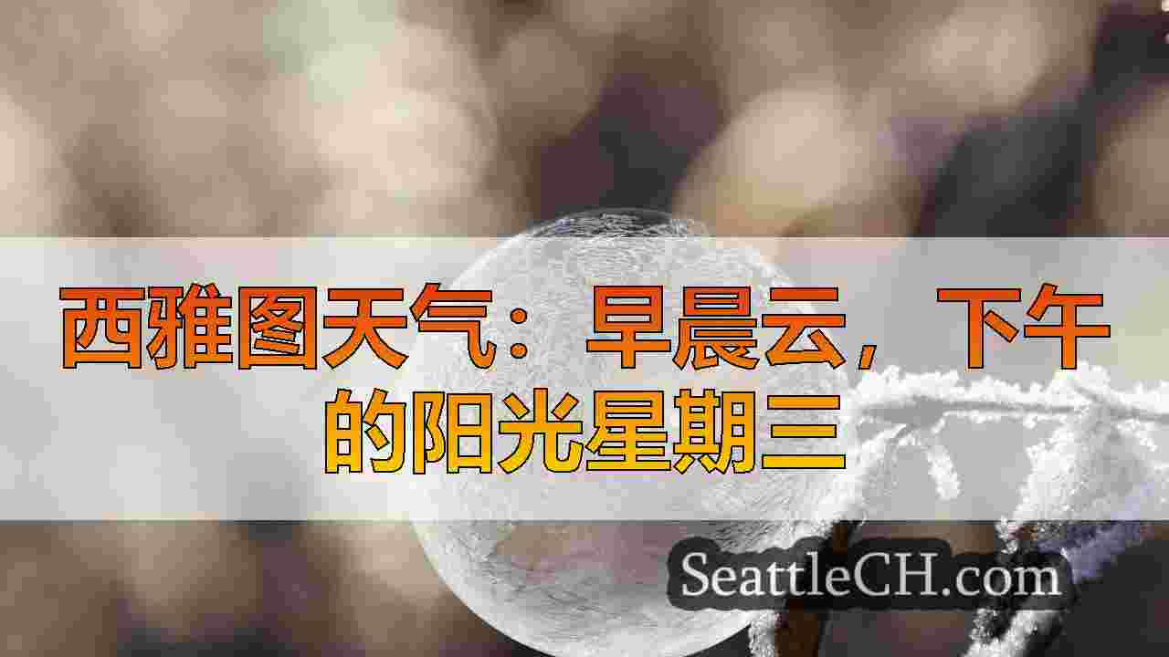 西雅图新闻 SeattleCH