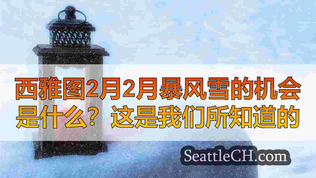 西雅图新闻 SeattleCH