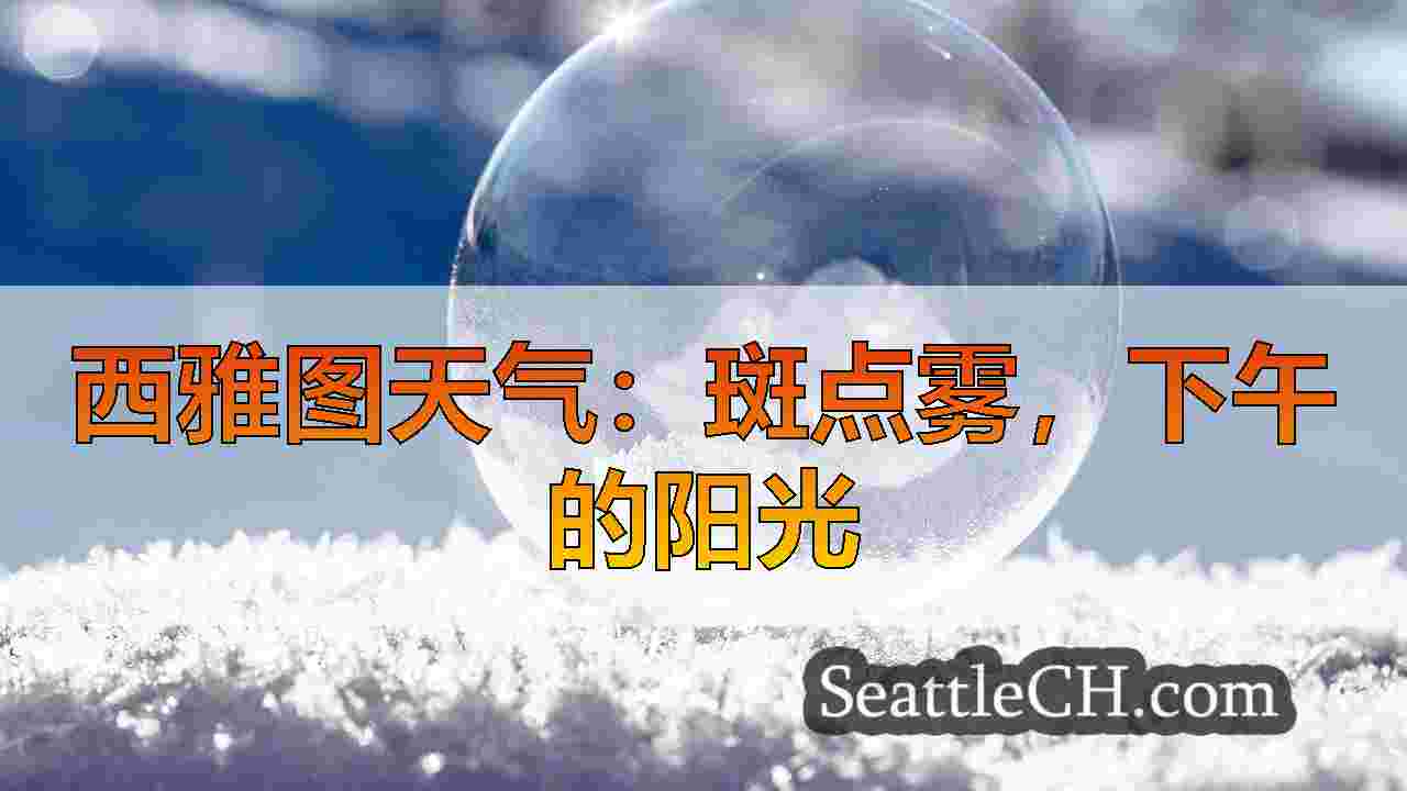 西雅图新闻 SeattleCH