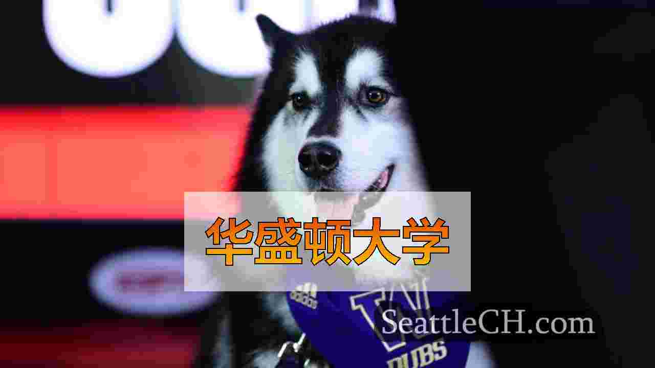 华盛顿大学吉祥物配音庆祝7岁生日