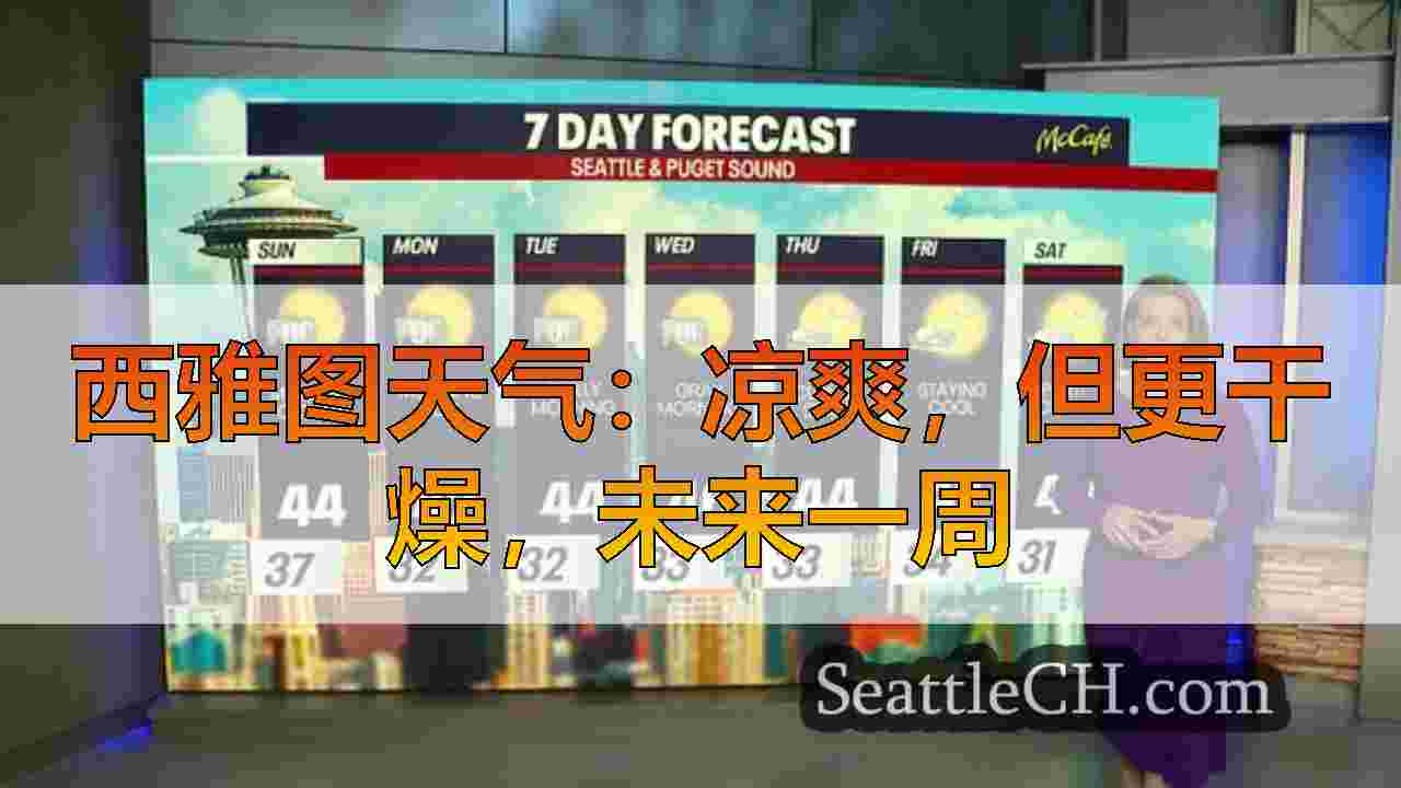 西雅图天气：凉爽，但更干燥，未来一周
