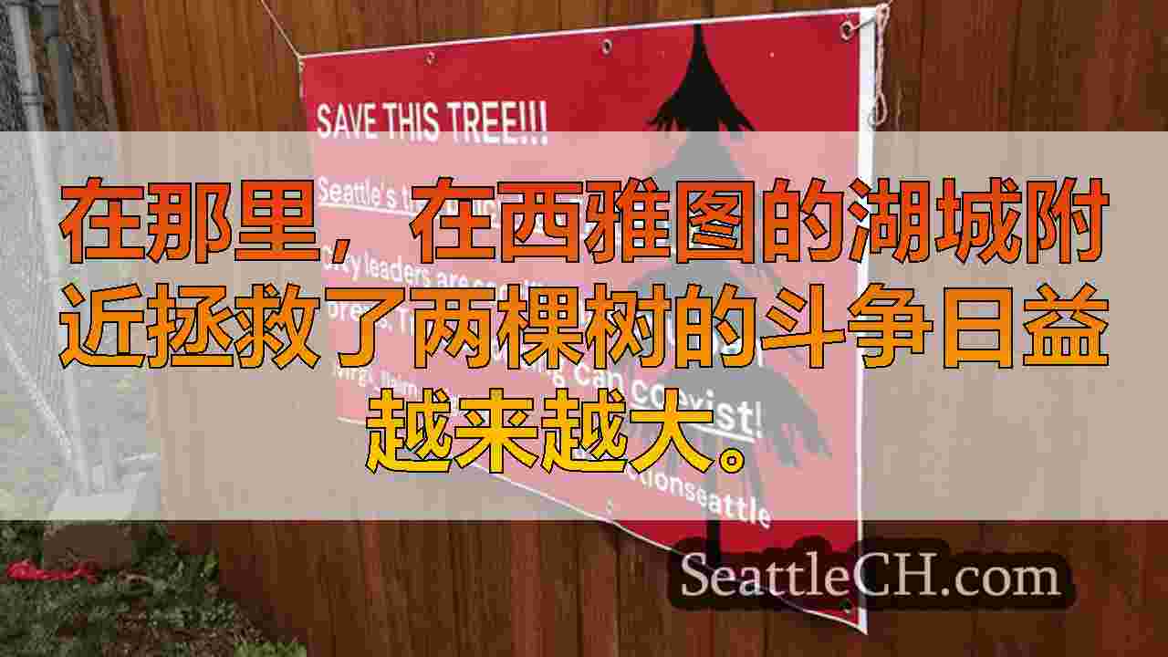西雅图新闻 SeattleCH