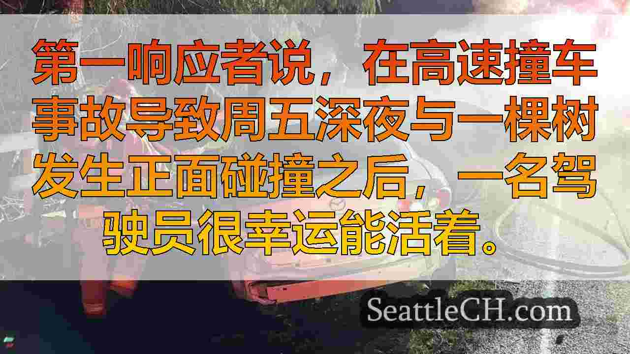 高速崩溃后，驾驶员从燃烧的汽车中救出