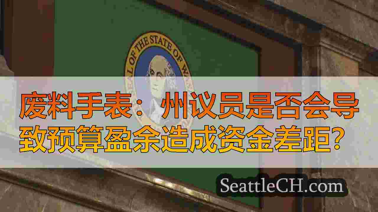 西雅图新闻 SeattleCH