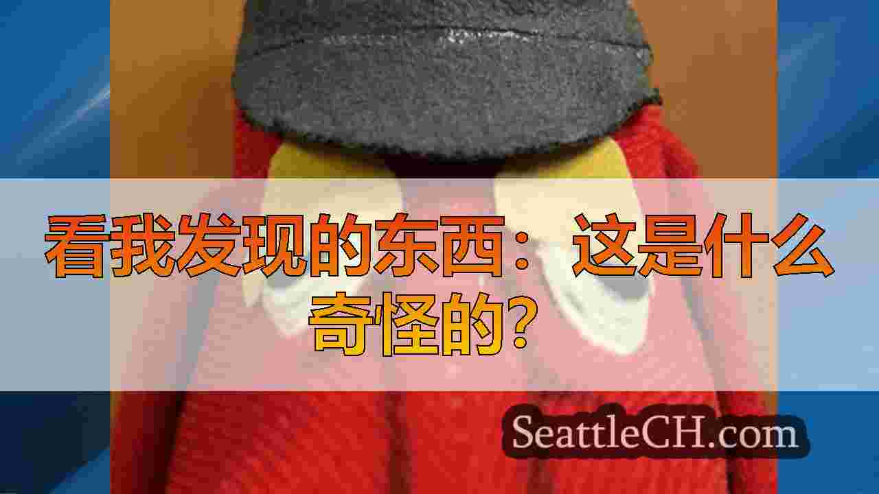 看我发现的东西：这是什么奇怪的？