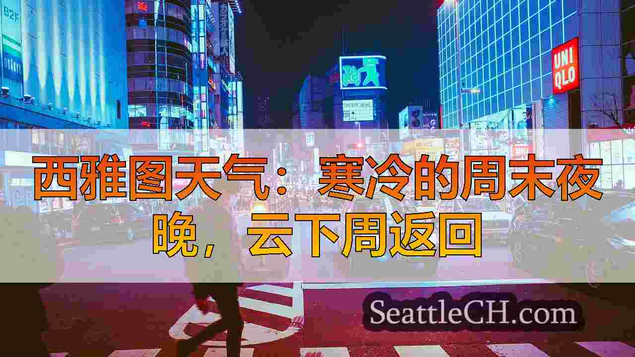 西雅图新闻 SeattleCH