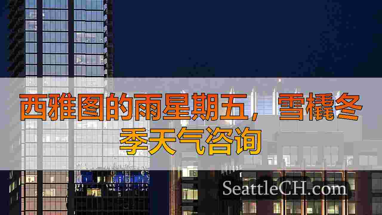 西雅图新闻 SeattleCH