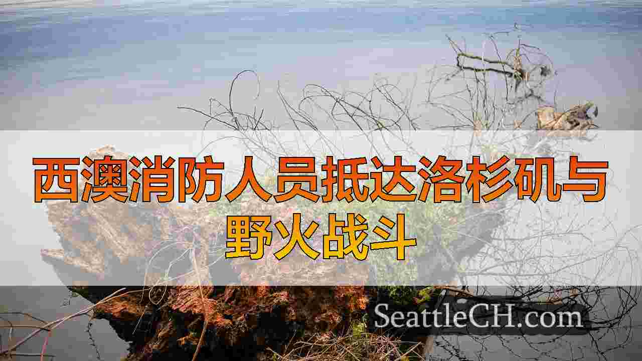 华盛顿消防员抵达洛杉矶县以帮助大火