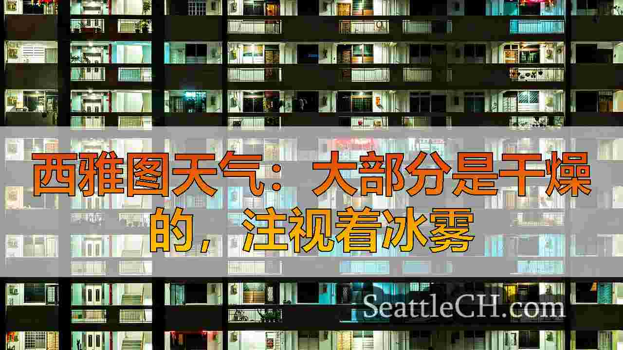 西雅图新闻 SeattleCH