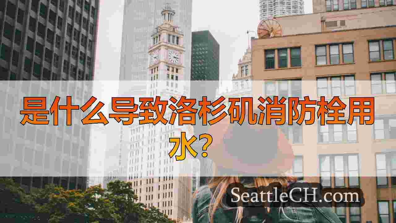 西雅图新闻 SeattleCH