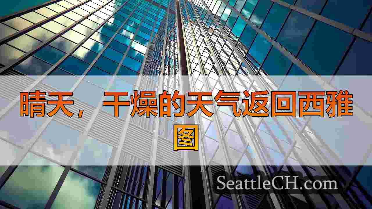 西雅图新闻 SeattleCH