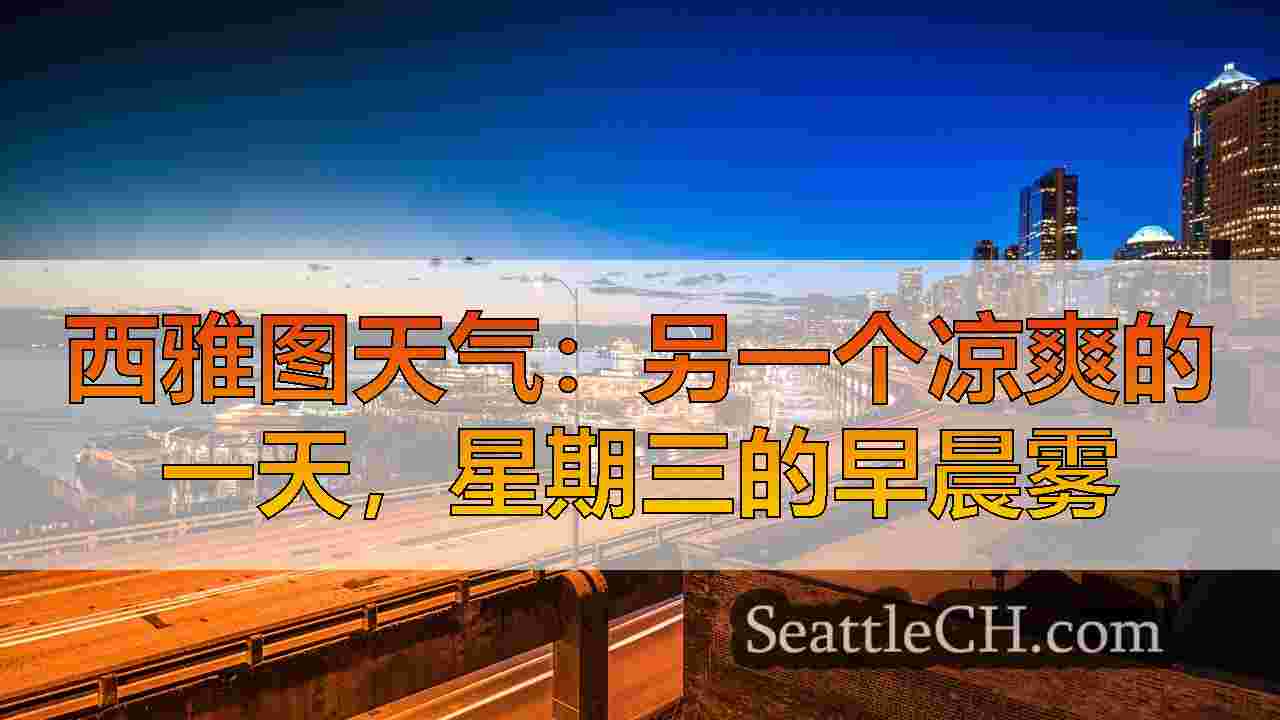 在西雅图至1月中旬重复的天气干燥