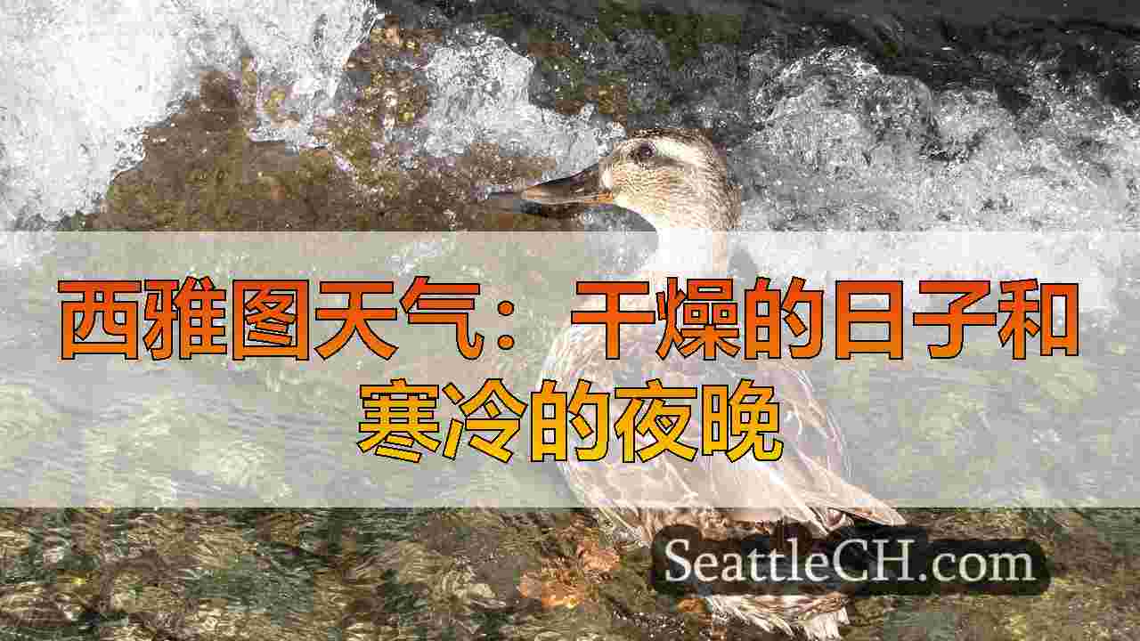 西雅图天气：干燥的日子和寒冷的夜晚