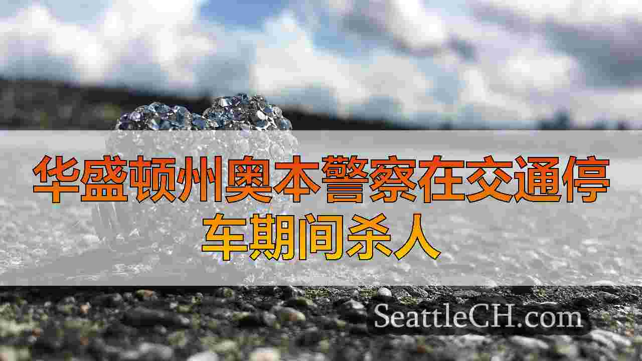 男子在华盛顿州奥本的交通停车期间被警察杀死