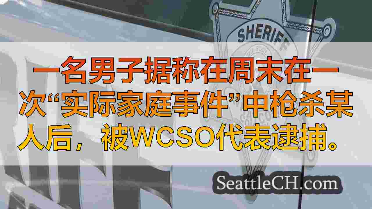 卡斯特男子在国内纠纷期间致命枪击后被捕