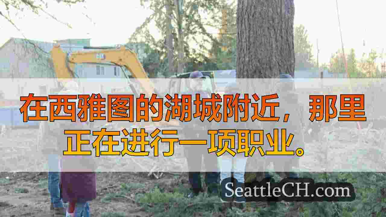 西雅图新闻 SeattleCH