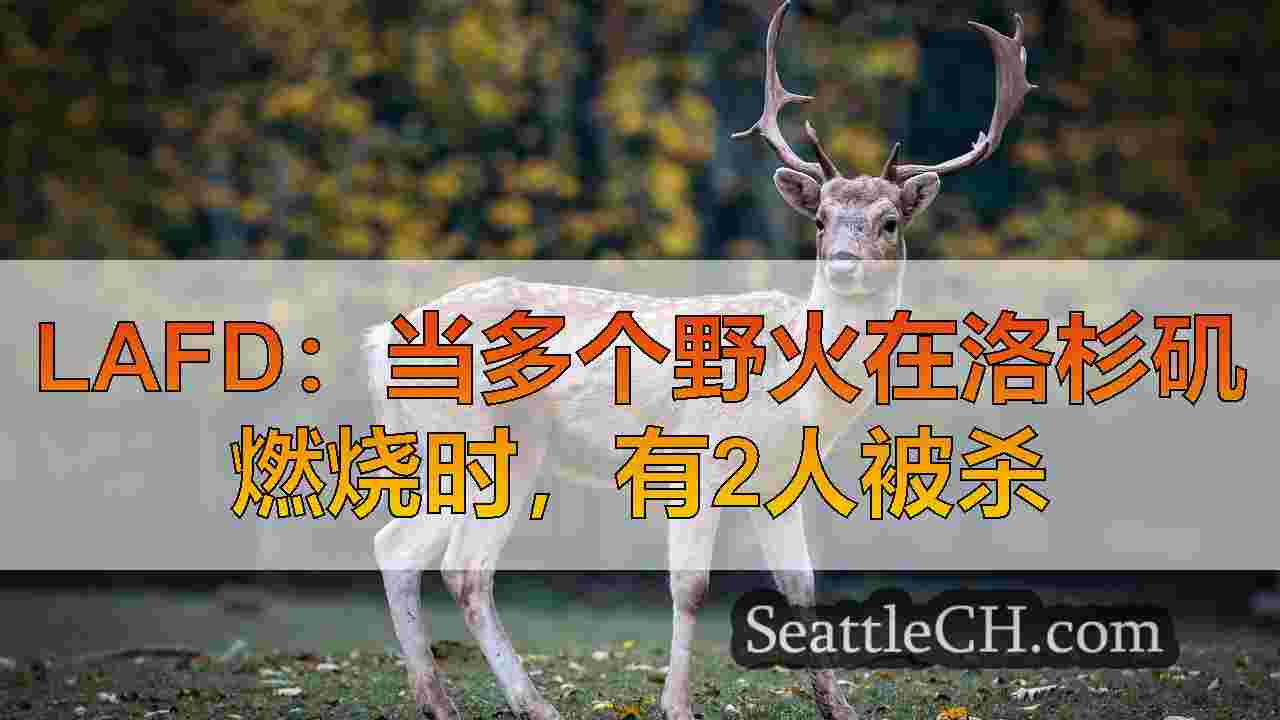 西雅图新闻 SeattleCH