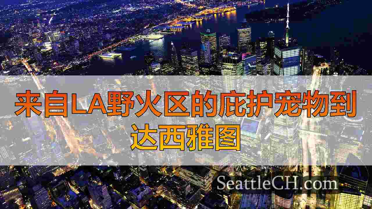 西雅图新闻 SeattleCH