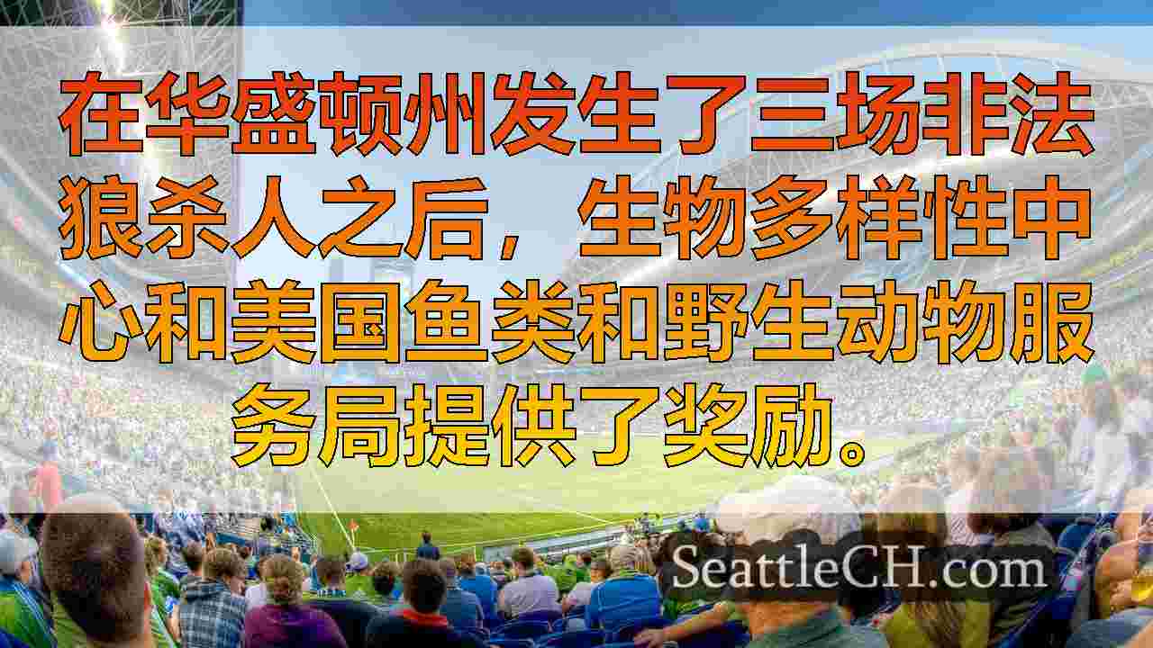 西雅图新闻 SeattleCH