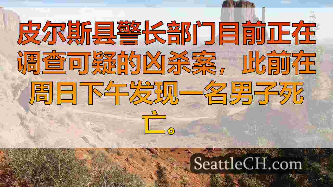 西雅图新闻 SeattleCH
