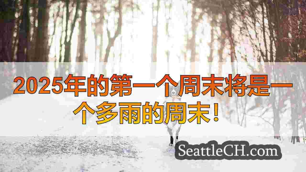 西雅图新闻 SeattleCH