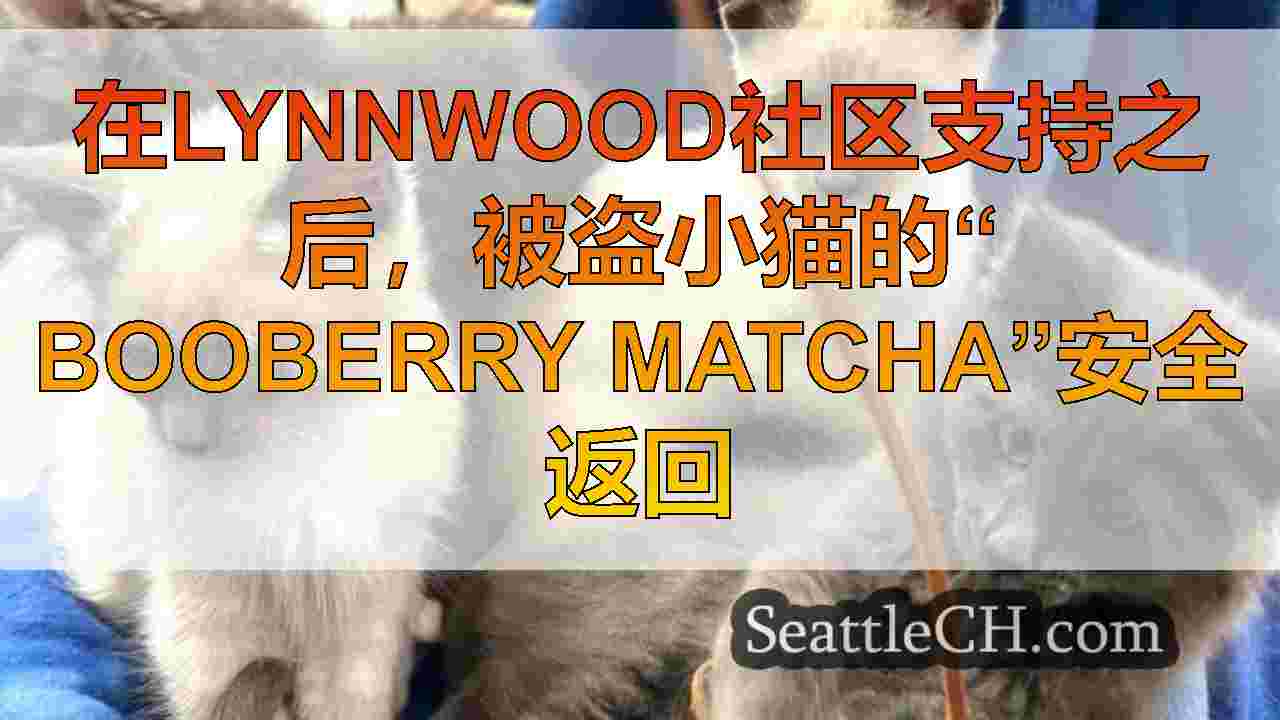 西雅图新闻 SeattleCH
