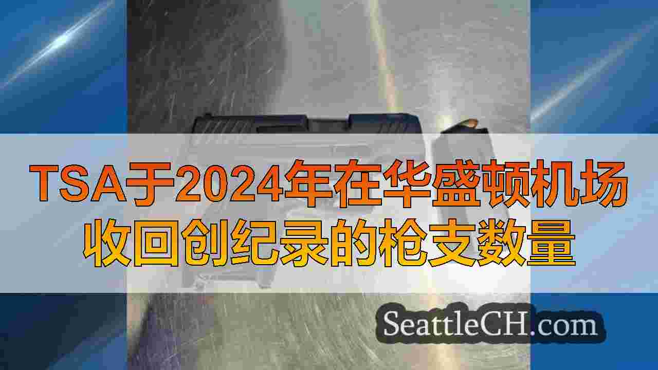 TSA于2024年在华盛顿机场收回创纪录的枪支数量