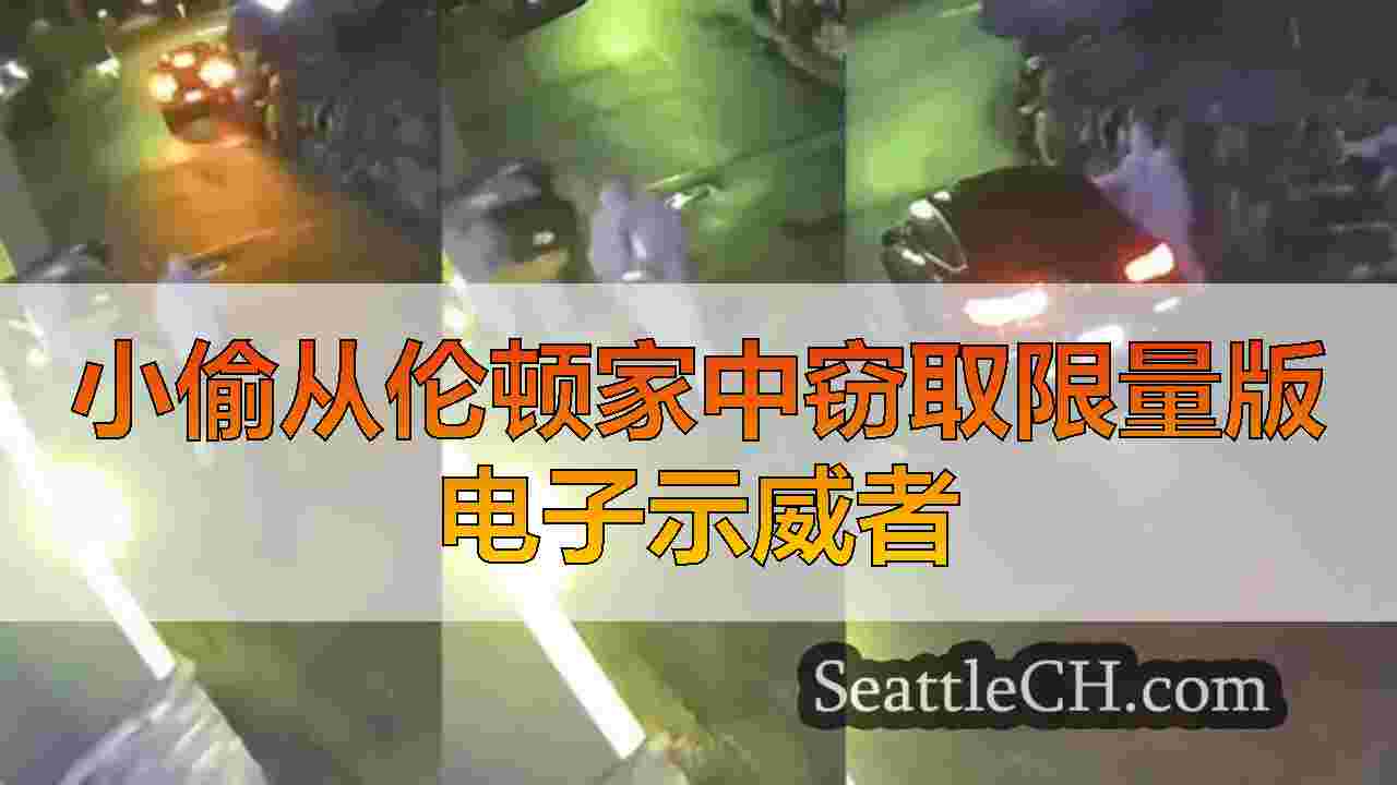 小偷从伦顿家中窃取限量版电子示威者