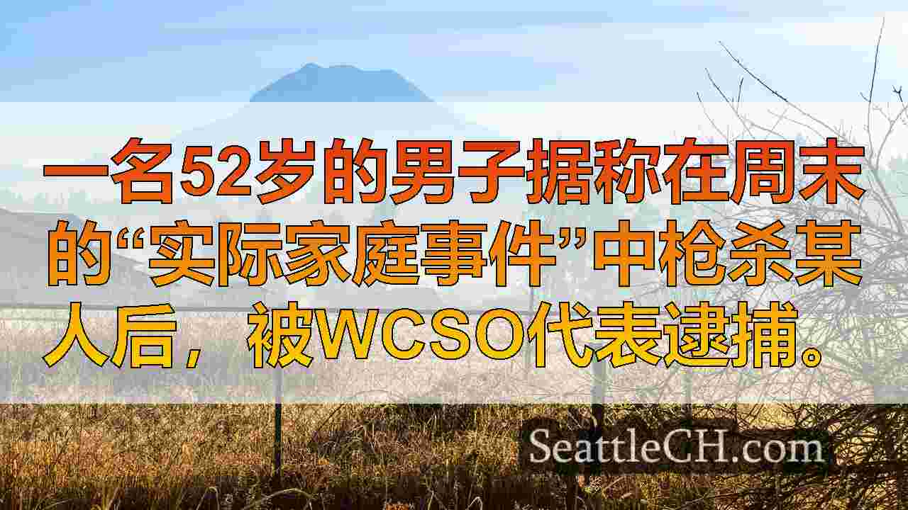西雅图新闻 SeattleCH