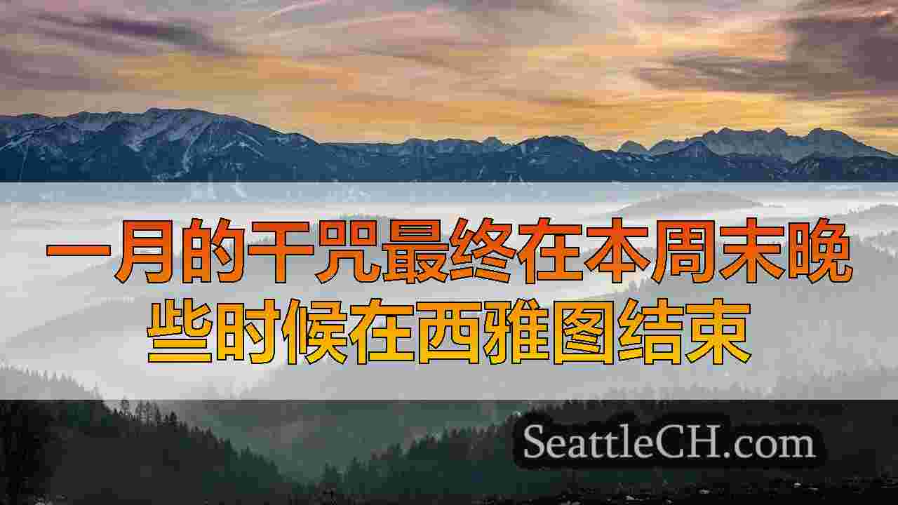一月的干咒最终在本周末晚些时候在西雅图结束