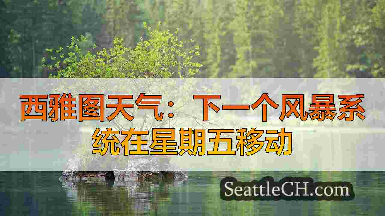 西雅图新闻 SeattleCH