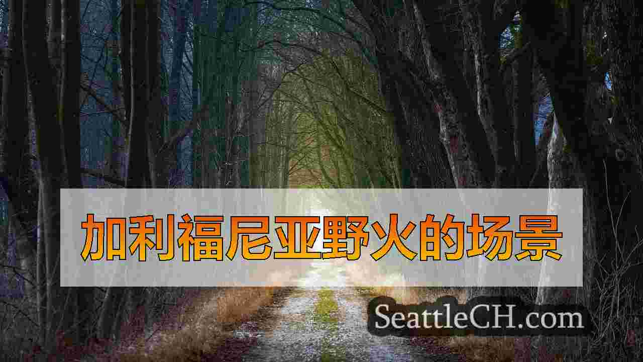 西雅图新闻 SeattleCH