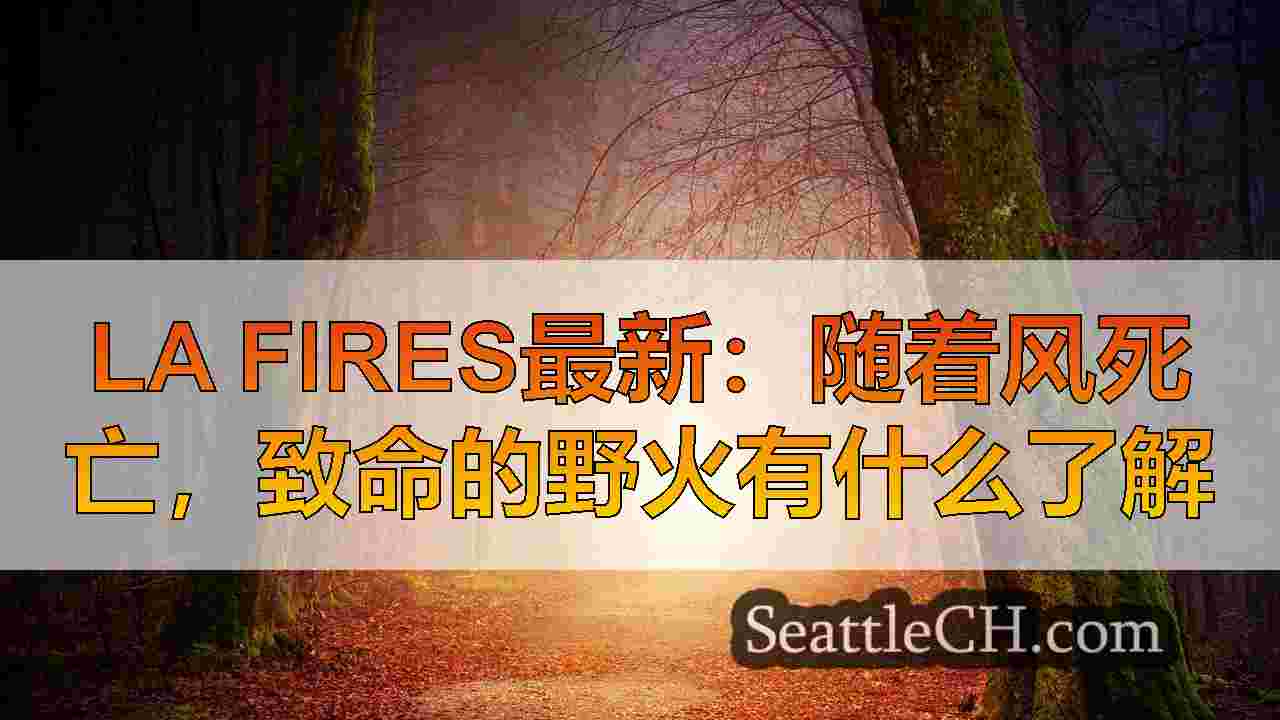 西雅图新闻 SeattleCH